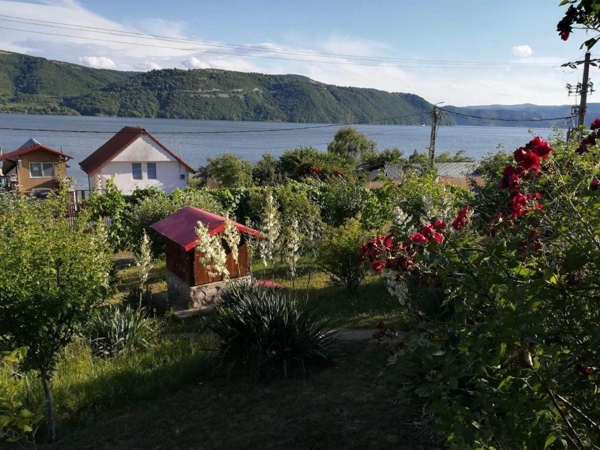 Villa Casa Melania Ieşelniţa Exterior foto